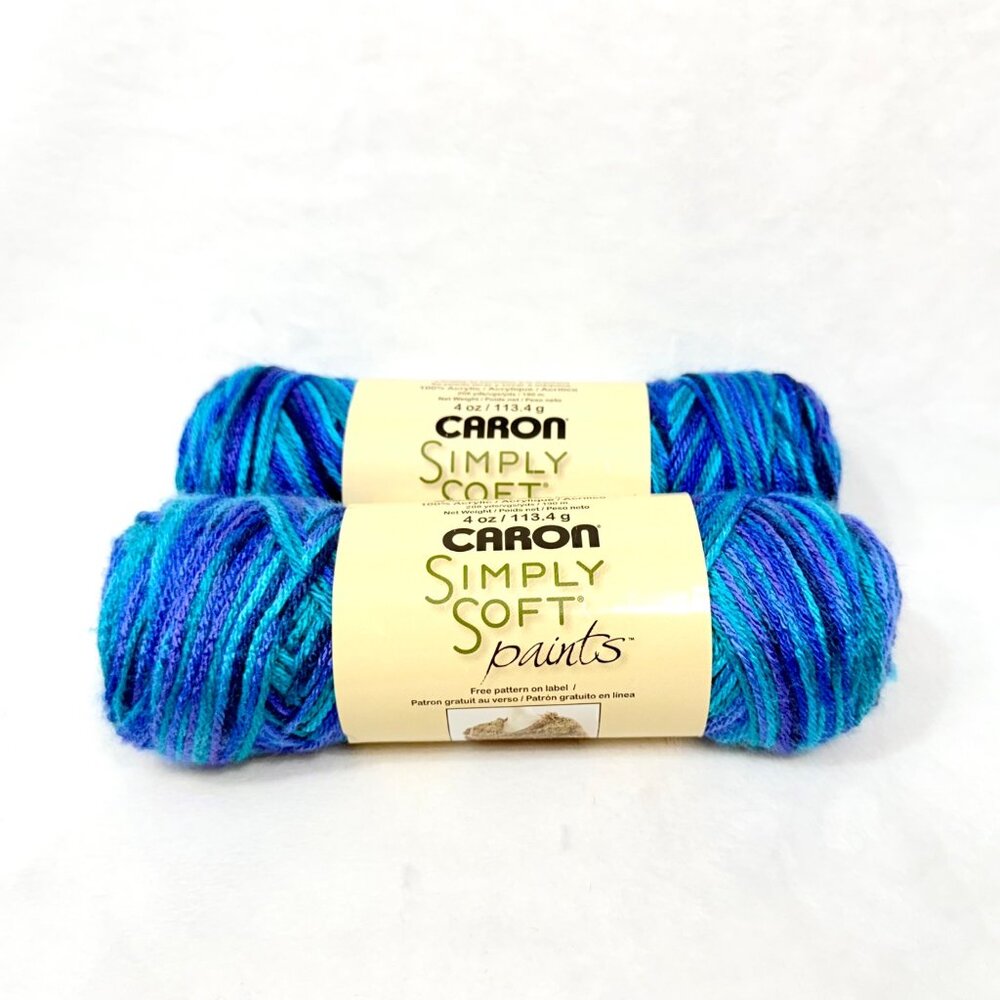 Caron Simply Soft Paints "Oceana" Acrylic Yarn - Lot of 2 Skeins